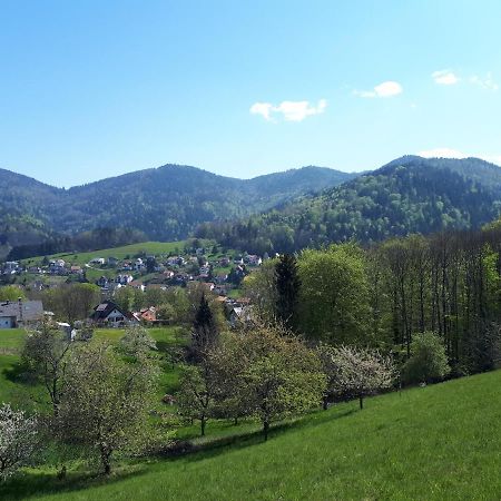 Ferienwohnung Schwarzwaldblick Bühlertal Buitenkant foto