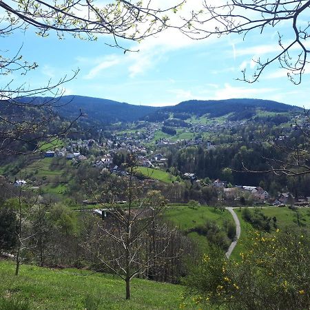 Ferienwohnung Schwarzwaldblick Bühlertal Buitenkant foto