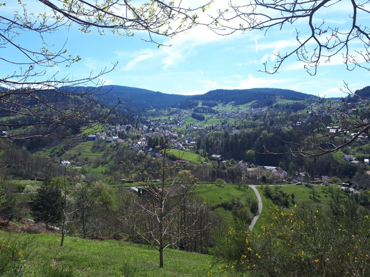 Ferienwohnung Schwarzwaldblick Bühlertal Buitenkant foto